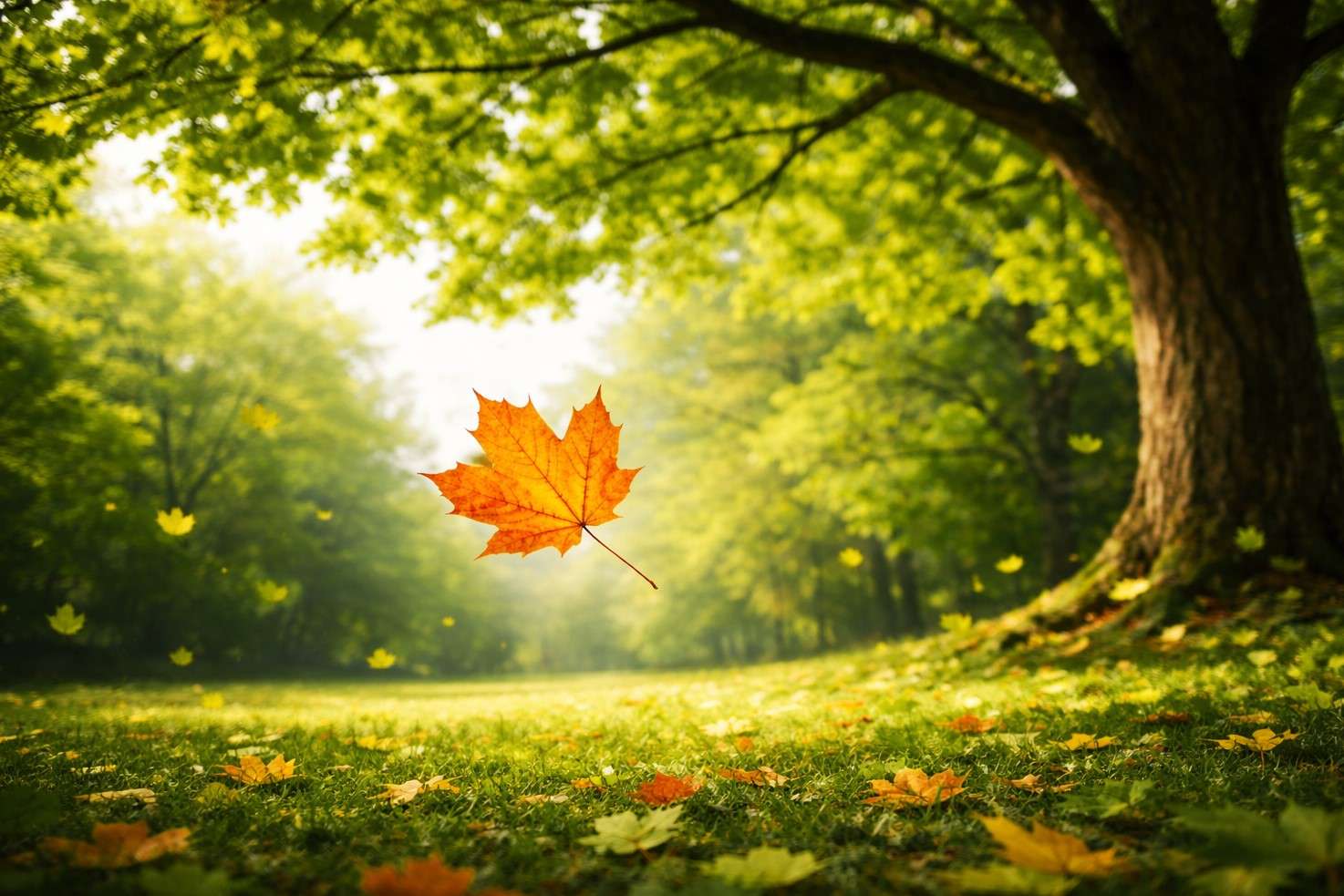 آداب یاد مرگ